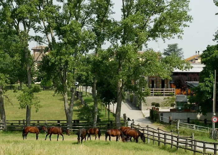 Tenuta Mariano Bed & Breakfast Noceto